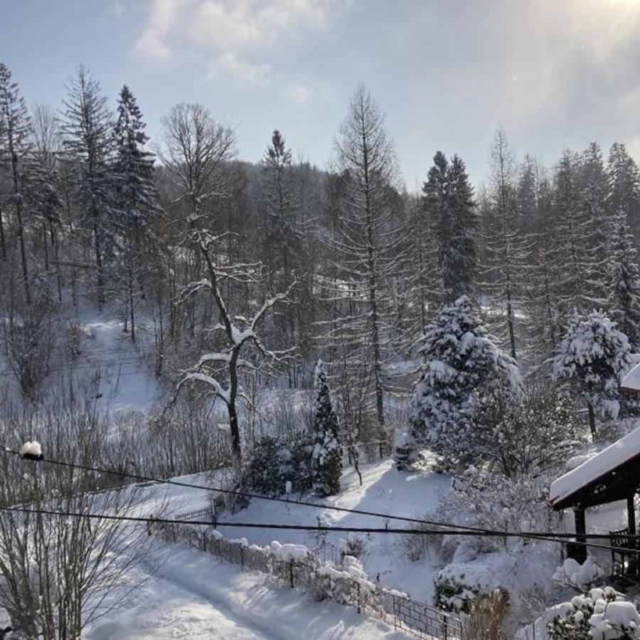 Apartamento Cud Miód Wisła Exterior foto